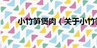 小竹筍煲肉(關于小竹筍煲肉簡介)