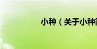 小種(關于小種簡介)