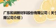 廣東和潤新材料股份有限公司(關于廣東和潤新材料股份有限公司介紹)