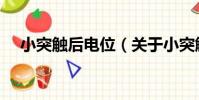 小突觸后電位(關于小突觸后電位簡介)