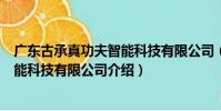 廣東古承真功夫智能科技有限公司(關于廣東古承真功夫智能科技有限公司介紹)