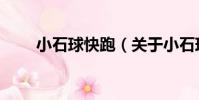 小石球快跑(關于小石球快跑簡介)
