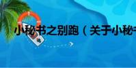 小秘書之別跑(關于小秘書之別跑簡介)