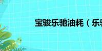 寶駿樂馳油耗(樂馳油耗)