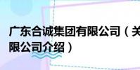 廣東合誠集團有限公司(關于廣東合誠集團有限公司介紹)