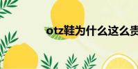 otz鞋為什么這么貴(otz)