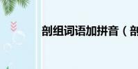 剖組詞語加拼音(剖組詞語)