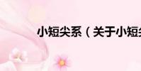 小短尖系(關于小短尖系簡介)
