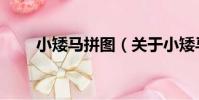 小矮馬拼圖(關于小矮馬拼圖簡介)