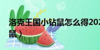 洛克王國小鉆鼠怎么得2021(洛克王國小鉆鼠)