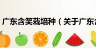 廣東含笑栽培種(關于廣東含笑栽培種介紹)