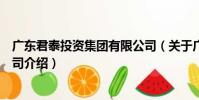 廣東君泰投資集團有限公司(關于廣東君泰投資集團有限公司介紹)