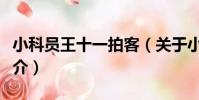 小科員王十一拍客(關于小科員王十一拍客簡介)