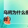 烏鴉為什么像寫字臺歌詞（烏鴉為什么像寫字臺）