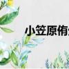 小笠原侑生（關于小笠原侑生簡介）