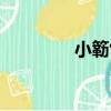 小簕竹（關于小簕竹簡介）