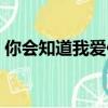 你會知道我愛你是什么歌（你會知道我愛你）