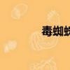 毒蜘蛛（關于毒蜘蛛的簡介）