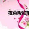 夜幕降臨前（關于夜幕降臨前的簡介）