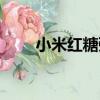小米紅糖粥（關于小米紅糖粥簡介）