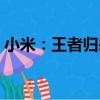 小米：王者歸來（關于小米：王者歸來簡介）