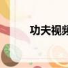 功夫視頻（關于功夫視頻的簡介）