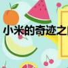 小米的奇跡之門（關于小米的奇跡之門簡介）