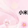 小米灘（關于小米灘簡介）