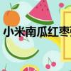 小米南瓜紅棗粥（關于小米南瓜紅棗粥簡介）