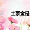 土豪金是什么顏色（土豪金是什么）