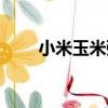 小米玉米粥（關于小米玉米粥簡介）
