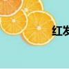 紅發（關于紅發的簡介）