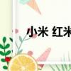 小米 紅米2（關于小米 紅米2簡介）