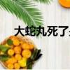 大蛇丸死了是哪一集（大蛇丸哪集死的）