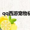qq西游寵物初始應該洗多少（qq西游寵物）