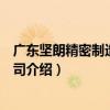 廣東堅朗精密制造有限公司（關于廣東堅朗精密制造有限公司介紹）