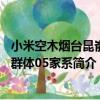 小米空木煙臺昆崳山群體05家系（關于小米空木煙臺昆崳山群體05家系簡介）