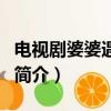 電視劇婆婆遇見媽（關于電視劇婆婆遇見媽的簡介）