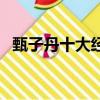 甄子丹十大經典電影（甄子丹好看的電影）