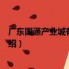 廣東國通產業城有限公司（關于廣東國通產業城有限公司介紹）