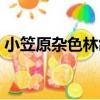小笠原雜色林鴿（關于小笠原雜色林鴿簡介）