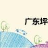 廣東坪村（關于廣東坪村介紹）
