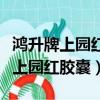 鴻升牌上園紅膠囊現在還能買的到嗎（鴻升牌上園紅膠囊）