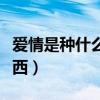 愛情是種什么東西讓人歡喜（愛情是種什么東西）