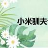 小米馴夫記（關于小米馴夫記簡介）