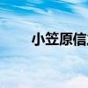 小笠原信之（關于小笠原信之簡介）