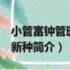 小管富鐘管珊瑚 新種（關于小管富鐘管珊瑚 新種簡介）