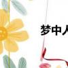 夢中人（關于夢中人的簡介）