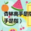 杏林高手是指哪個職業中突出的人才（杏林高手是指）