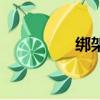 綁架（關于綁架的簡介）